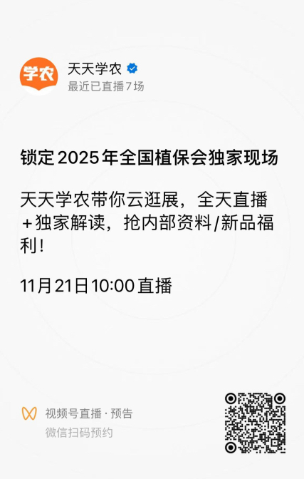 http://st-static1.dhwpian.com/forums/2025/11/18/17634292668744.png