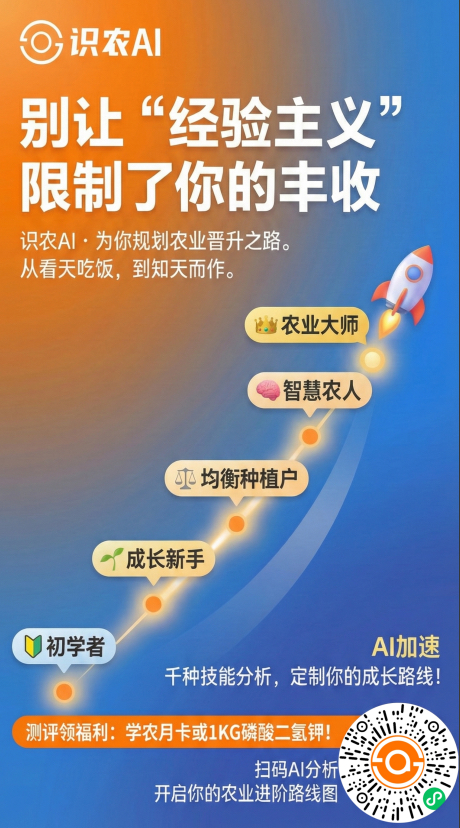 http://st-static1.dhwpian.com/forums/2025/11/27/17642315792371.png