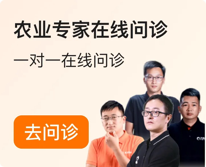 http://st-static1.dhwpian.com/forums/2025/12/04/17648348949299.png