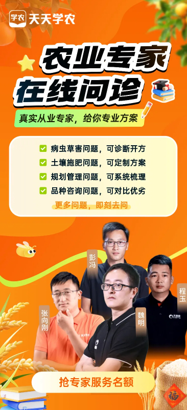 http://st-static1.dhwpian.com/forums/2025/12/04/17648349249599.png