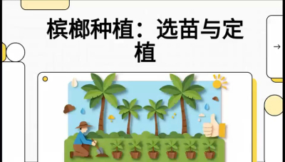 第01节：选苗与定植&mdash;&mdash;&ldquo;苗好一半收，底肥定千秋&rdquo;课程：《槟榔种植：从不懂到精通的10堂必修课》