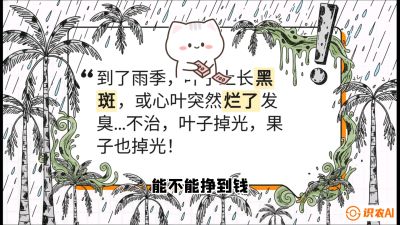 第05节：常见真菌病害&mdash;&mdash;&ldquo;炭疽与烂心，早防值千金&rdquo;《槟榔种植：从不懂到精通的10堂必修课》