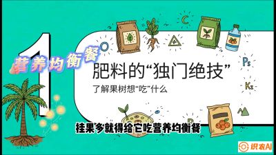 第07节：科学施肥&mdash;&mdash;&ldquo;氮磷钾配好，树壮果不倒