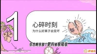 第08节：微量元素与保果&mdash;&mdash;&ldquo;补硼又补钙，果子不裂坏&rdquo;《槟榔种植：从不懂到精通的10堂必修课》