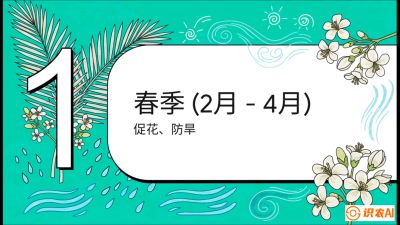 第10节：周年农事日历&mdash;&mdash;&ldquo;跟着节气走，丰产在手头&rdquo;《槟榔种植：从不懂到精通的10堂必修课》