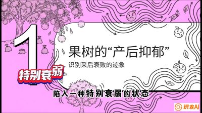 第2节：【冬肥策略】采后&ldquo;月子肥&rdquo;：大小年的精准干预术，课程：《柑橘底肥&ldquo;翻身账&rdquo;：从改土到高产的实战全书》