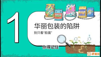 第4节：【黄金配方】底肥里的&ldquo;铁三角&rdquo;与&ldquo;微量雷区&rdquo;课程：《柑橘底肥&ldquo;翻身账&rdquo;：从改土到高产的实战全书》