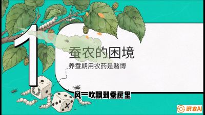第06节：虫口夺叶（上）&mdash;&mdash;物理与生物防控绝技，课程《桑海淘金：桑树高产与蚕桑安全进阶实战课》