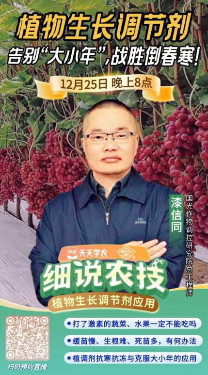 http://st-static1.dhwpian.com/forums/2025/12/23/17664639985811.png