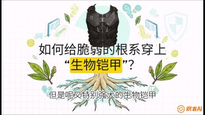 第三节：国产榴莲突围战：根系堡垒，菌根微生态构建与黄金定植窗口，课程：《国产榴莲突围战：从泰国经验到中国实操的8堂必修课（高阶实战版）》