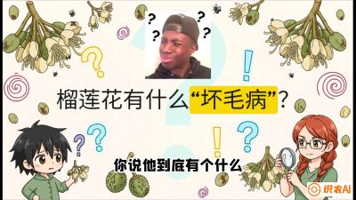 第六节：榴莲的午夜战事，夜间授粉战与花果期避雨策略，课程：《国产榴莲突围战：从泰国经验到中国实操的8堂必修课（高阶实战版）》
