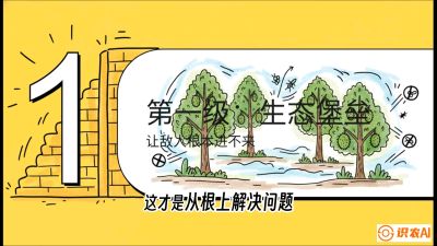 第七节：榴莲防御战：病虫害三级立体防控，疫霉菌与虫害的立体封锁线，课程：《国产榴莲突围战：从泰国经验到中国实操的8堂必修课（高阶实战版）》