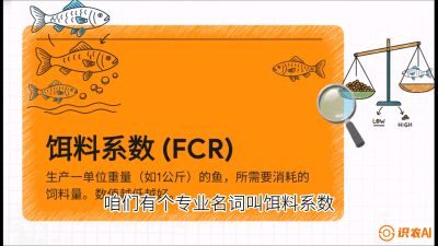 第五节：【高端单品&middot;鳜鱼】&ldquo;饲料鳜&rdquo;技术：打破吃活饵的高成本魔咒，课程：《黄金鳞甲：2025中国淡水鱼高效养殖实战营》