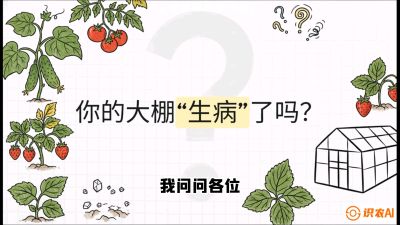 第2节（解毒篇）： 大棚里的&ldquo;红白绿&rdquo;警报&mdash;&mdash;读懂土壤盐渍化的求救信号，课程：《揭秘土壤的秘密：让土地帮你赚钱》#识农AI