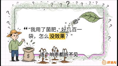 第4节（活化篇）： 土壤里的&ldquo;雇佣兵&rdquo;&mdash;&mdash;如何用菌剂以小博大，解决死棵难题，课程：《揭秘土壤的秘密：让土地帮你赚钱》#识农AI