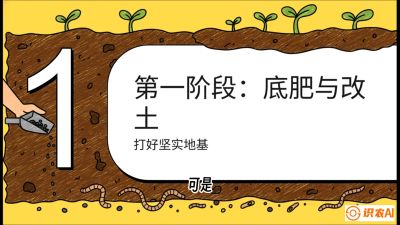 第6节（统筹篇）： 省钱又增产的&ldquo;黄金配比&rdquo;&mdash;&mdash;不同作物全年的养土实操方案，课程：《揭秘土壤的秘密：让土地帮你赚钱》#识农AI