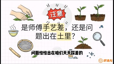 第02节（土肥篇）：告别&ldquo;苦涩水味&rdquo;：揭秘&ldquo;碳氮比&rdquo;调控术，种出自带兰花香的好茶底，课程：《茶金时代：从&ldquo;看天吃饭&rdquo;到&ldquo;精准控局&rdquo;的茶叶高产提质实战课》