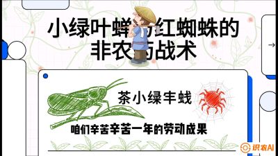 第03节（虫害篇）：看不见的吸血鬼：小绿叶蝉与红蜘蛛的&ldquo;非农药&rdquo;团灭战术（抗性治理），课程：《茶金时代：从&ldquo;看天吃饭&rdquo;到&ldquo;精准控局&rdquo;的茶叶高产提质实战课》