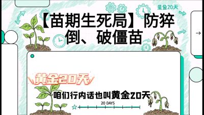 第2节：【苗期生死局】防猝倒、破僵苗，决定后期产量的&ldquo;黄金20天&rdquo;，课程：《辣椒种植实战特训营，从工业辣椒到精品小米辣，教你如何把&ldquo;草&rdquo;种成&ldquo;金&rdquo;》