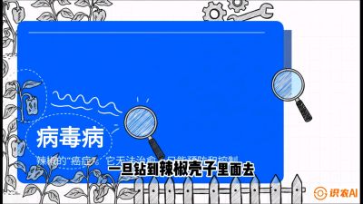 第5节：【病毒病阻击】辣椒的&ldquo;癌症&rdquo;怎么治？从&ldquo;绝收恐慌&rdquo;到&ldquo;带毒生产&rdquo;的逆转术，课程：《辣椒种植实战特训营，从工业辣椒到精品小米辣，教你如何把&ldquo;草&rdquo;种成&ldquo;金&rdquo;》