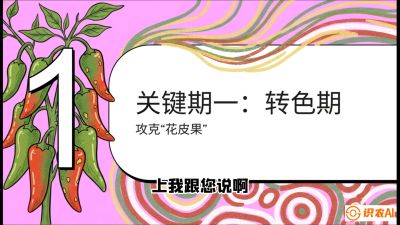 第8节：【小米辣线椒专场】颜值即正义！防花皮、防炭疽，打造收购商抢着要的&ldquo;精品果&rdquo;，课程：《辣椒种植实战特训营，从工业辣椒到精品小米辣，教你如何把&ldquo;草&rdquo;种成&ldquo;金&rdquo;》
