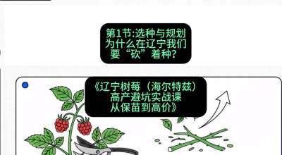 第一节： 选种与规划&mdash;&mdash;为什么在辽宁我们要&ldquo;砍&rdquo;着种？，课程：《辽宁树莓（海尔特兹）高产避坑实战课：从保苗到高价》