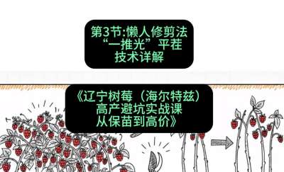 第三节： 懒人修剪法&mdash;&mdash;&ldquo;一推光&rdquo;平茬技术详解，课程：《辽宁树莓（海尔特兹）高产避坑实战课：从保苗到高价》