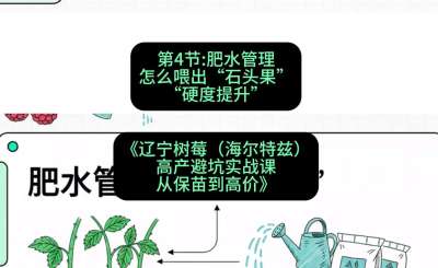 第四节： 肥水管理&mdash;&mdash;怎么喂出&ldquo;石头果&rdquo;（硬度提升），课程：《辽宁树莓（海尔特兹）高产避坑实战课：从保苗到高价》