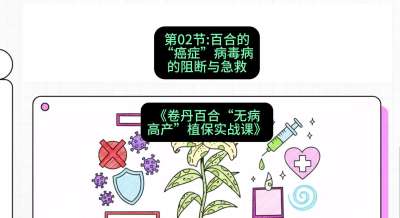 第02节：百合的&ldquo;癌症&rdquo;&mdash;&mdash;病毒病的阻断与急救，课程：《卷丹百合&ldquo;无病高产&rdquo;植保实战课》#识农AI