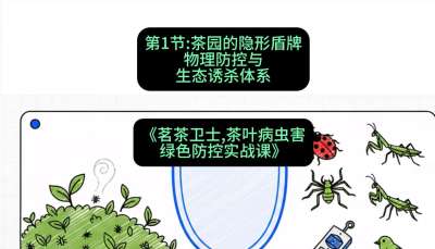 第01节：茶园的&ldquo;隐形盾牌&rdquo;&mdash;&mdash;物理防控与生态诱杀体系，课程：《茗茶卫士&mdash;&mdash;茶叶病虫害绿色防控实战课》#识农AI