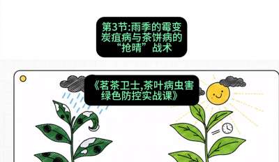 第03节：雨季的霉变&mdash;&mdash;炭疽病与茶饼病的&ldquo;抢晴&rdquo;战术，课程：《茗茶卫士&mdash;&mdash;茶叶病虫害绿色防控实战课》#识农AI