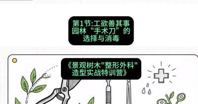 第01节：工欲善其事&mdash;&mdash;园林&ldquo;手术刀&rdquo;的选择与消毒，课程：《景观树木&ldquo;整形外科&rdquo;造型实战特训营》#识农AI