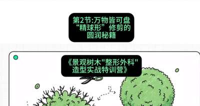 第02节：万物皆可盘&mdash;&mdash;&ldquo;精球形&rdquo;修剪的圆润秘籍，课程：《景观树木&ldquo;整形外科&rdquo;造型实战特训营》#识农AI