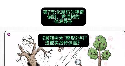 第07节：化腐朽为神奇&mdash;&mdash;偏冠、秃顶树的修复整形，课程：《景观树木&ldquo;整形外科&rdquo;造型实战特训营》#识农AI