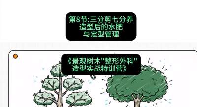 第08节：三分剪七分养&mdash;&mdash;造型后的水肥与定型管理，课程：《景观树木&ldquo;整形外科&rdquo;造型实战特训营》#识农AI