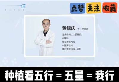 中药材淫羊藿怎么种？听专家一次讲明白！不挑地块好管理，耐寒耐旱省心省力，新手也能轻松上手，药用价值高、市场需求稳，妥妥的增收好品种～ 从生长习性到采收要点，干货满满无废话，种植疑问直接问，一对一答疑解