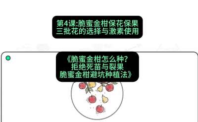 第4节：脆蜜金柑保花保果：三批花的选择与激素使用，课程：《脆蜜金柑怎么种？拒绝死苗与裂果，脆蜜金柑8步避坑种植法》#识农AI