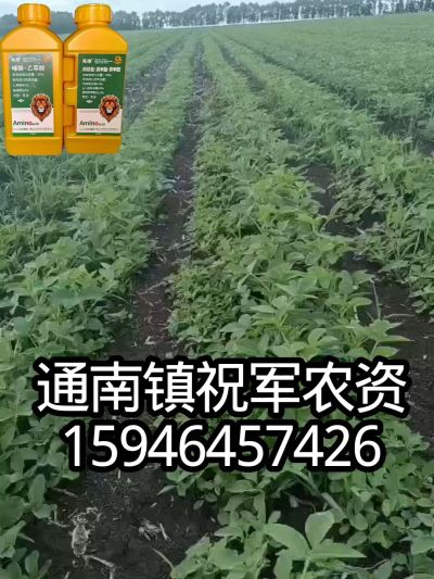 大豆苗前封闭，可封红根苋菜，灰菜，兰花菜，野豆子，捞豆秧等恶性杂草，封杀兼备的高端产品。