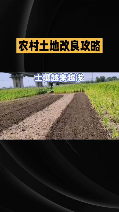 1. 先搞懂：你到底要改良哪块地、种什么
 
- 土土土在哪里？
就是你自家农田、菜地、果园，哪块地想种庄稼，就测哪块地的土。
​
- 有水没有水？
有水能浇：改良更省事，施肥、调酸碱都好操作。
没水