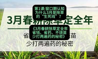 第1节：窗口期认知，为什么3月是除草的&ldquo;生死线&rdquo;？，课程：《3月春耕除草定全年：省钱、省药、不烧苗、少打两遍药的秘密》