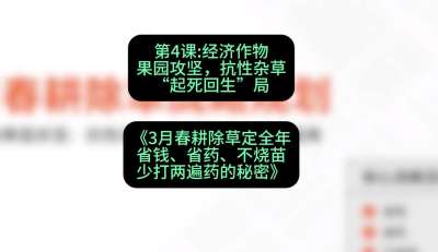第4节：经济作物果园攻坚，抗性杂草&ldquo;起死回生&rdquo;局，课程：《3月春耕除草定全年：省钱、省药、不烧苗、少打两遍药的秘密》